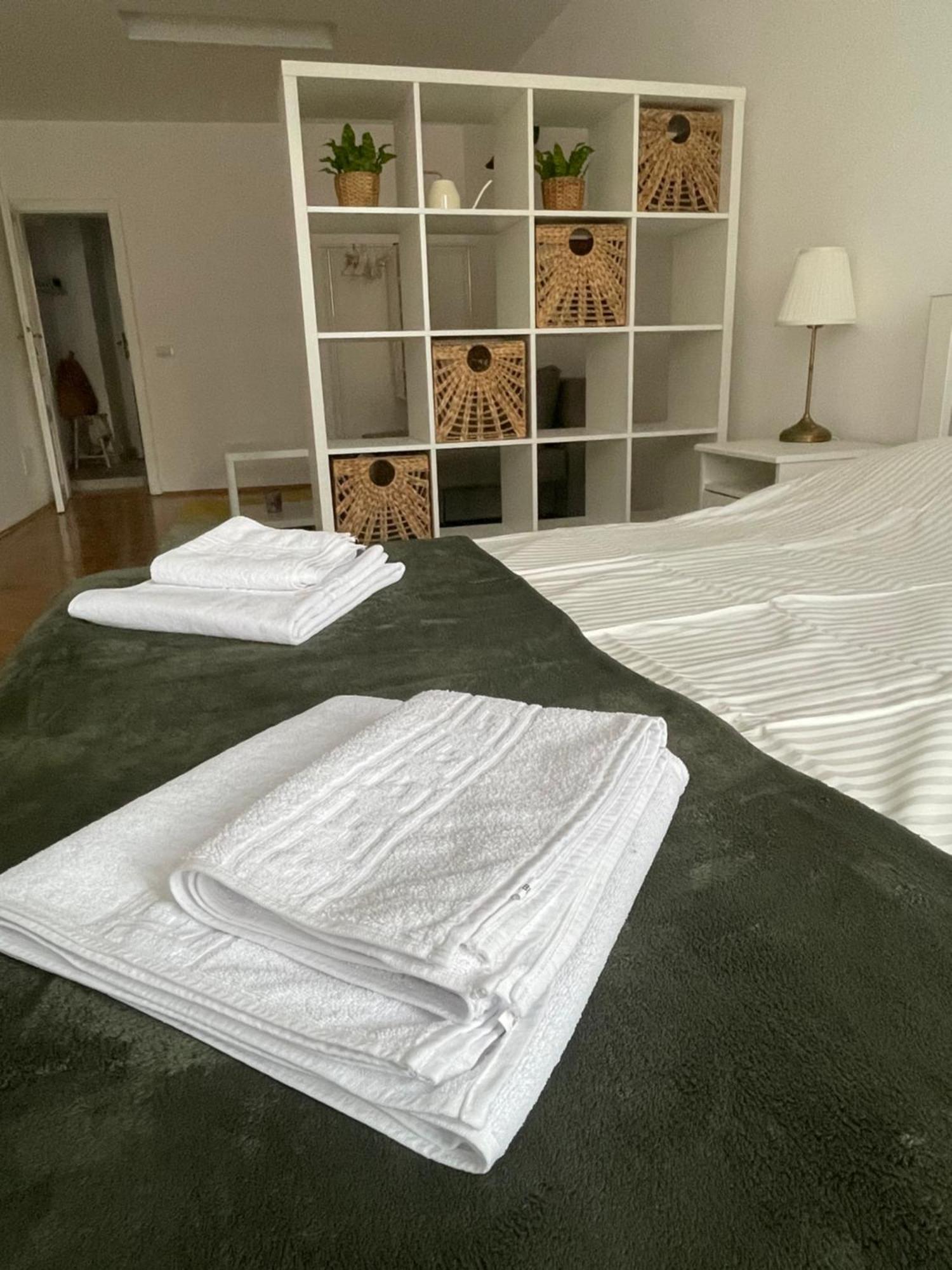 Cozy Stay Брашов Екстериор снимка